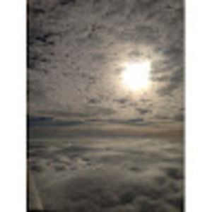 Meet your Posher, Hayley